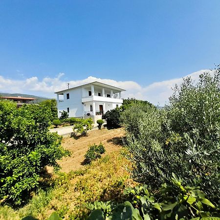 Villa Besart Berat Esterno foto