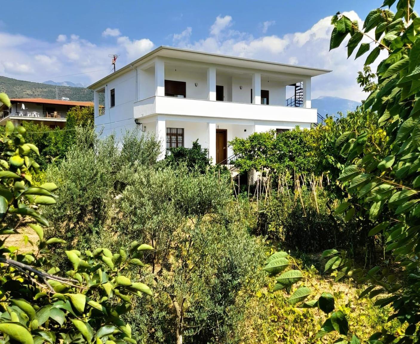 Villa Besart Berat Esterno foto